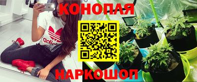 мяу мяу кристалл Кинель